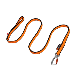 Bungee leash 2 m