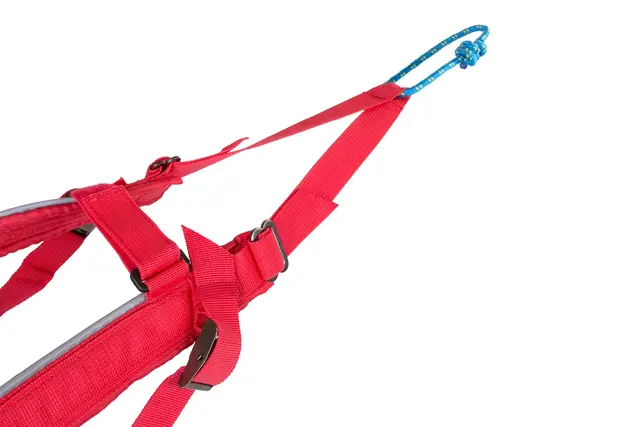 Combined harness Str. 5 