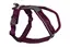 Line Harness 5.0 Non-stop Purple 2 