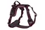 Ramble Harness Purple S 