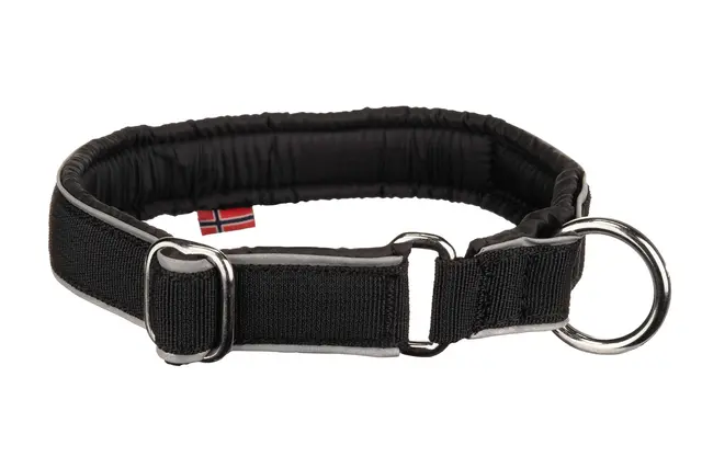 Polar Collar L 