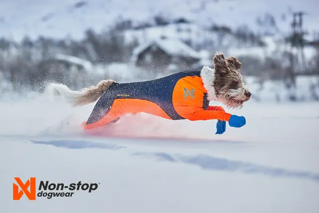Protector Snow, Male Non-Stop 