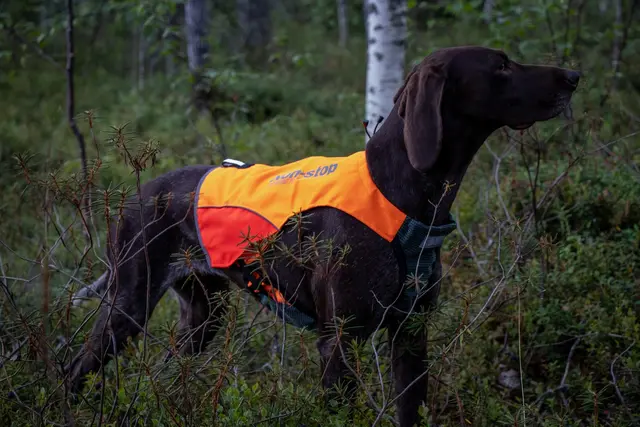 Protector vest Non-Stop M 