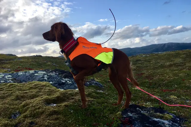 Protector vest, GPS S 