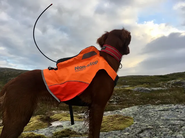 Protector vest, GPS S 