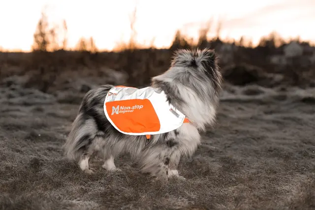 Reflective vest XS 
