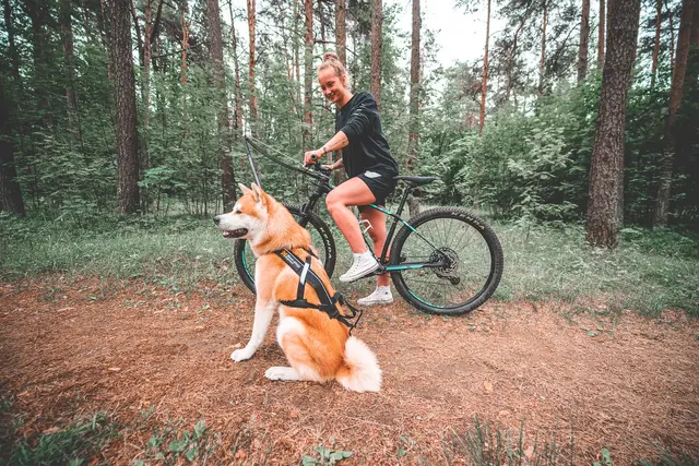 Bike Antenna x Non-Stop 