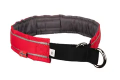 Active Collar, Red 65 Non-Stop