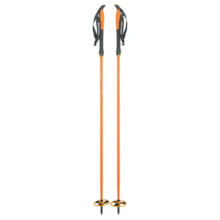 &#197;snes Cecilie Alloy Pole Skistav