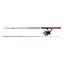X-Wand Haspel 5F Orchid 