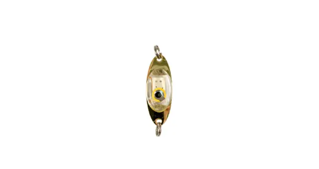 iFish Apollo Multi 