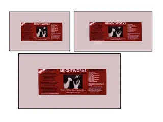 Brightworks Dried Chicken Liver