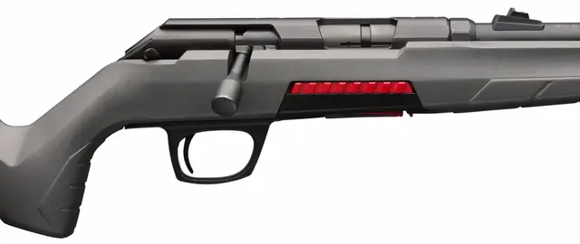 Winchester Xpert .22 