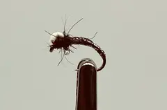 Christian&#39;s Top Foam midge Emerger, 16