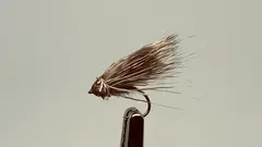 Christian's Streaking Caddis, 10