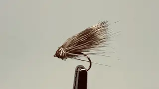 Christian's Streaking Caddis, 10