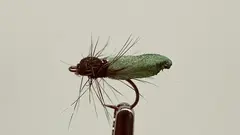 Christian&#39;s Foam Caddis Pupa