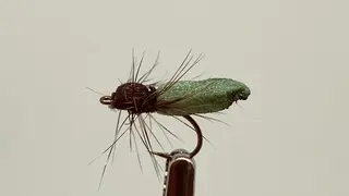 Christian's Foam Caddis Pupa