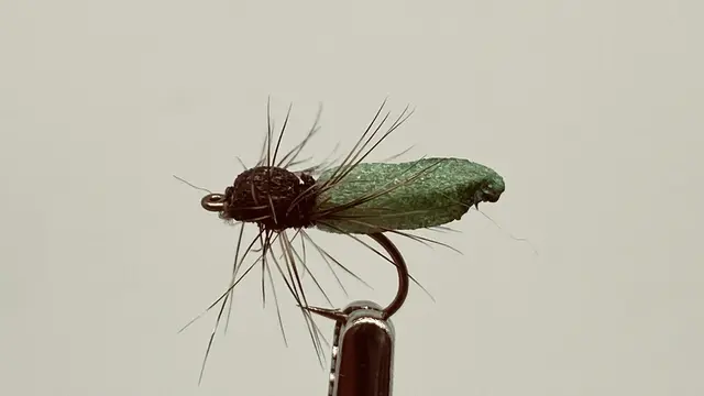 Christian`s Foam Caddis Pupa 12 