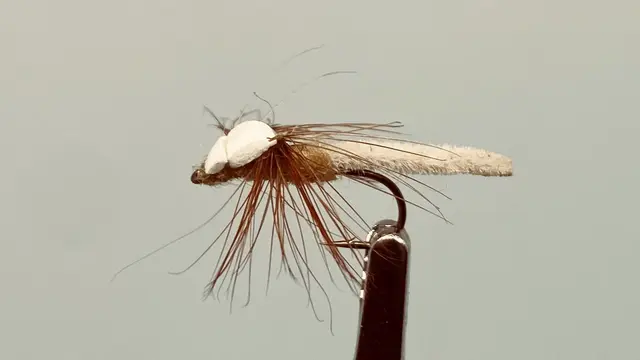 Christian's Stanko 8 