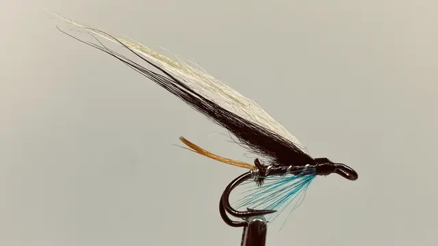 Blue Flash DK 12 
