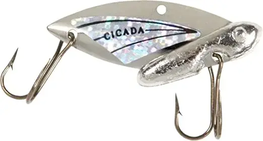 Cicada Silver Silver 14g 