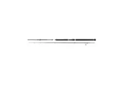 Daiwa Saltist Hyper S 7'5 150-250g