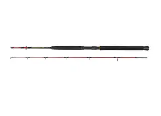 DAIWA SEAHUNTER SPIN