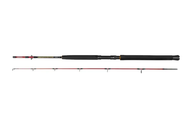DAIWA SEAHUNTER SPIN 6' 80-200g 