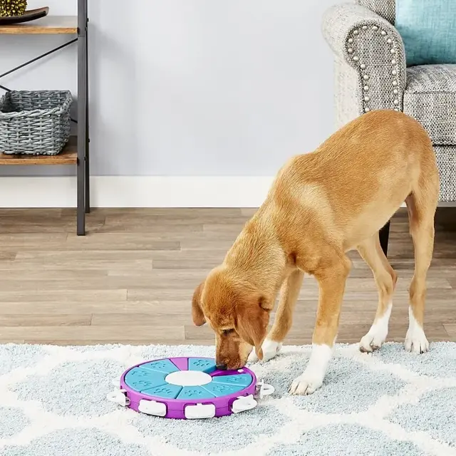 Dog Twister 