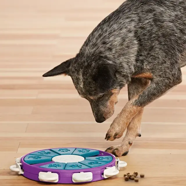 Dog Twister 