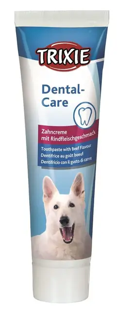 Tannkrem M/Biff Smak 100g 