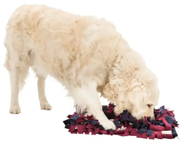 Dog Activity Sniffing Carpet 50x34cm Level 1 Snuseteppe 