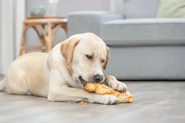 Chewy Cheese M 13,5cm 75g 