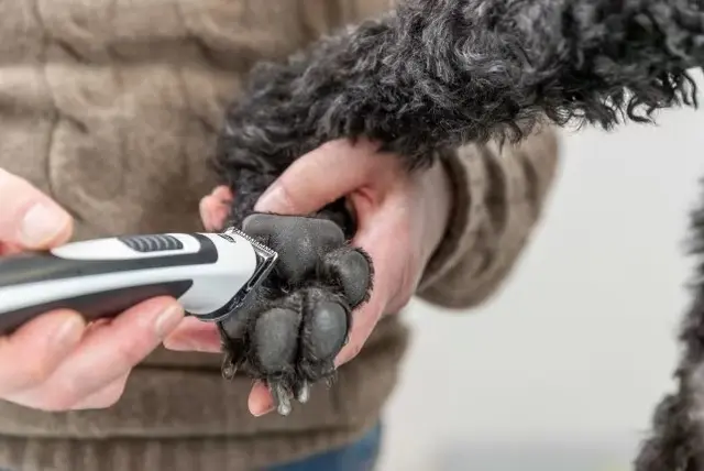 Klippemaskin Slim TR500 Trådløs 3W Hvit/Sort 