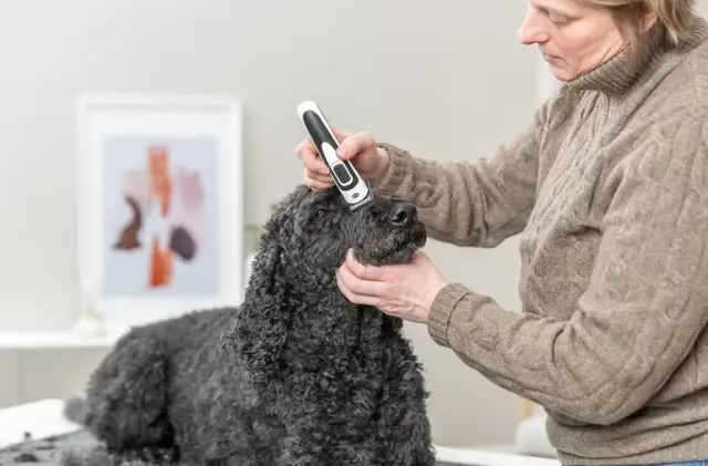 Klippemaskin Slim TR500 Trådløs 3W Hvit/Sort 