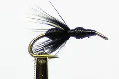 Black Ant DK