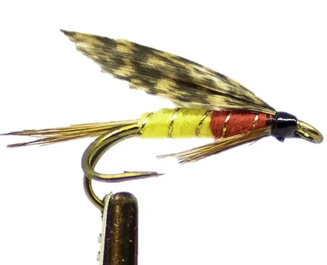 OLSEN DK 8 