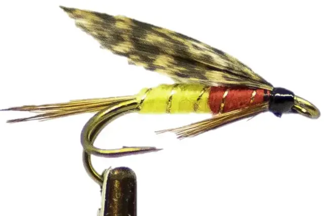 PETER ROSS DK 12 