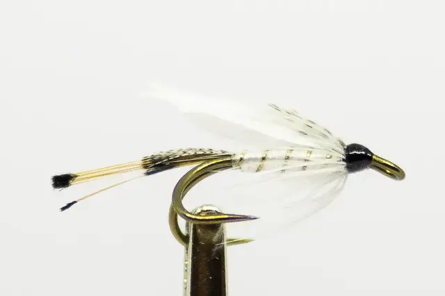 RISNESFLUA DK 12 