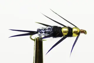 CREEPER STONEFLY NYMFE, 10