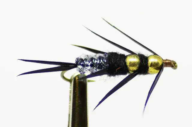 CREEPER STONEFLY NYMFE, 10 