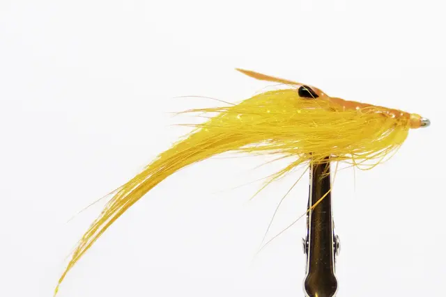 PATTEGRISEN ORANGE 6 