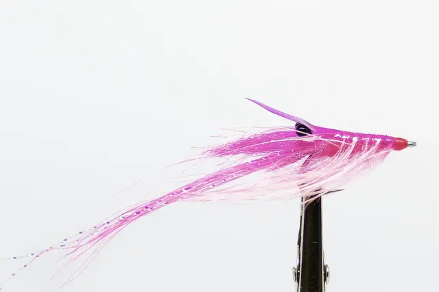 PATTEGRISEN PINK 8 