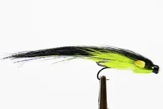 DEE MONKEY CHARTREUSE