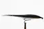 SUNRAY SHADOW 1" PLAST TUBE 