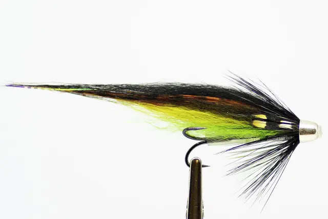 Tiger Tail Highlander 1" Tube Brass Conehead 