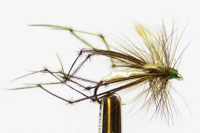 DADDY LONG LEG TØRRFLUER 10 