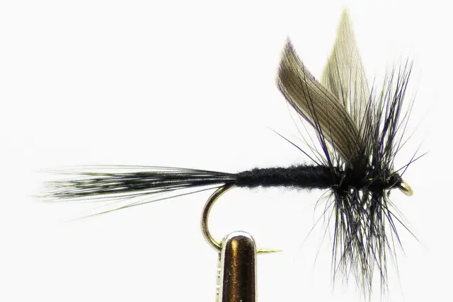 GNAT BLACK TØRRFLUER 12 