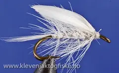 WHITE MOTH DK 12